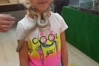 Змея укусила девочку в контактном зоопарке Екатеринбурга