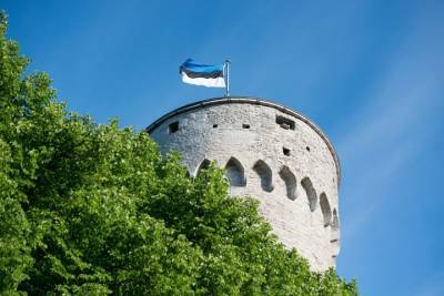 Эстония предложила оснастить страны Балтии системами ПВО для «сдерживания» России