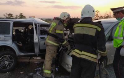 Шесть человек погибли в ДТП с грузовиком в Ставрополье