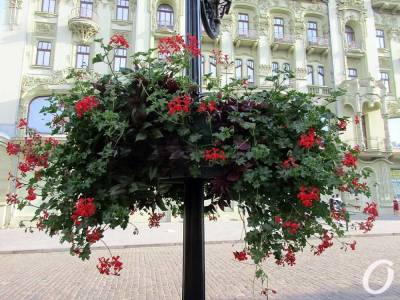 Погода в Одессе 30 августа: лето еще держится