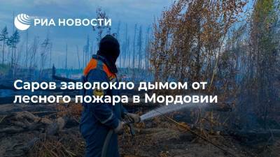 Нижегородский Саров заволокло дымом от лесного пожара в Мордовском заповеднике