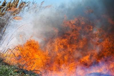 В Астрахани на Городском острове больше 6 часов тушат крупный пожар