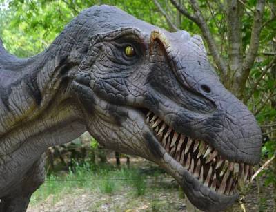 В Великобритании на пляже палеонтологи обнаружили десятки следов динозавров