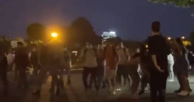 Активисты «Лев против» устроили потасовку с десантниками в московском парке