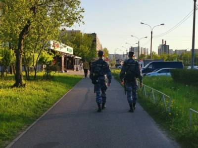 Активисты попросили десантников не пить в Парке Горького и были задержаны ОМОНом