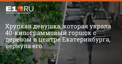 Хрупкая девушка, которая украла 40-килограммовый горшок с деревом в центре Екатеринбурга, вернула его