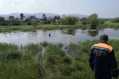 Спасатели достали из болота тело утонувшего мужчины в Антипихе