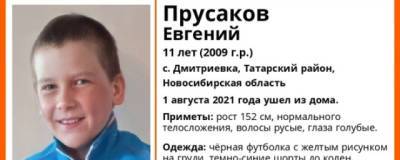 В Татарском районе Новосибирской области пропал 11-летний мальчик