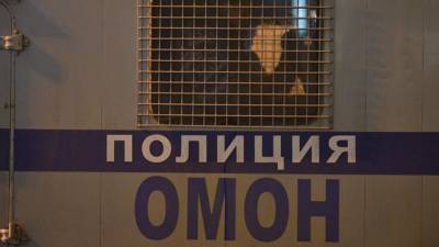 ОМОН задержал активистов "Лев против" после стычки с десантниками