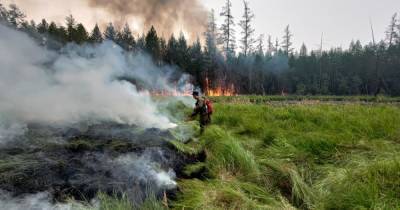 В Якутии ликвидировали восемь природных пожаров за сутки