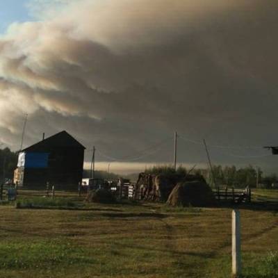Общая площадь лесных пожаров в России превысила миллион гектаров
