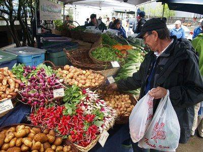 Для "хорошей отчетности" пензенские чиновники вынуждали овощеводов торговать в убыток