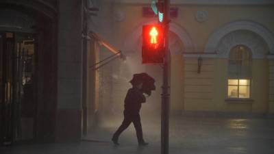 Почти четверть месячной нормы осадков выпало в Москве прошлой ночью