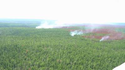Около ста человек эвакуированы из якутского села, которому угрожает лесной пожар