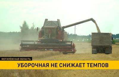 В Могилевской области убрано более 40% площадей зерновых