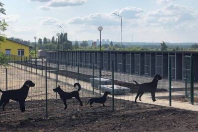 В Белгороде к 21 августа откроют приют для животных