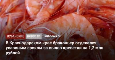 В Краснодарском крае браконьер отделался условным сроком за вылов креветки на 1,2 млн рублей