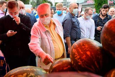 Жириновский призвал вернуть дешевые колхозные рынки