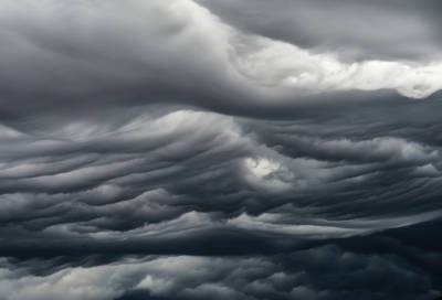 Оставайтесь дома: в МЧС объявили штормовое предупреждение в Ленобласти
