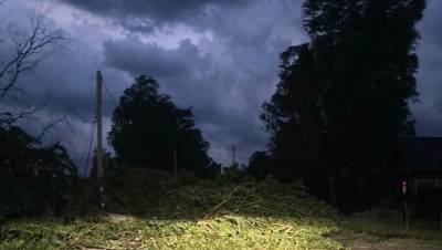 Ураган оставил без света 2 тыс. человек в Новгородской области