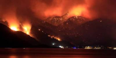 В Турции мощные пожары превратили леса в пепел: Фото до и после, снятые с высоты