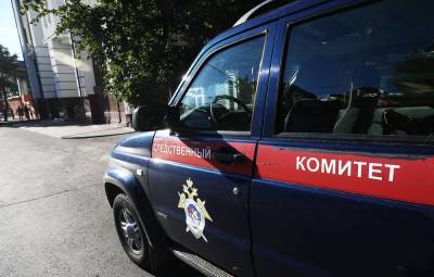 СК возбудил уголовное дело в отношении руководства "Российского Красного Креста"