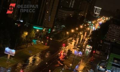 Шторм снес 19 деревьев и повредил семь машин в Петербурге