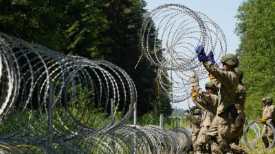 Пограничники Литвы не пропускают мигрантов вне пунктов пропуска