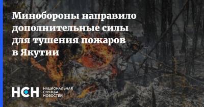 Минобороны направило дополнительные силы для тушения пожаров в Якутии
