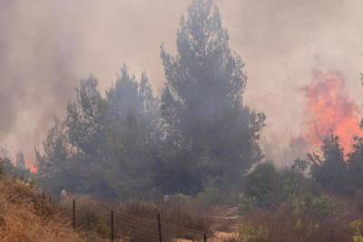 В Иерусалимских горах бушует сильный пожар