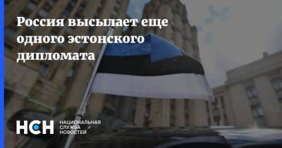 Россия высылает еще одного эстонского дипломата - nsn.fm - Россия - Санкт-Петербург - Эстония