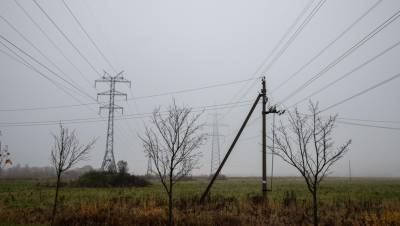 В Псковской области 120 сёл и деревень остаются без света после урагана