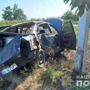 В Бердянске пьяный водитель протаранил два дерева. Фотофакт