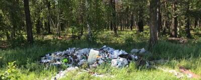 Жители Перми жалуются на свалку мусора на экологической тропе рядом с микрорайоном «Гайва»