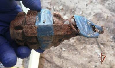Найденная в тюменском посёлке граната обезврежена