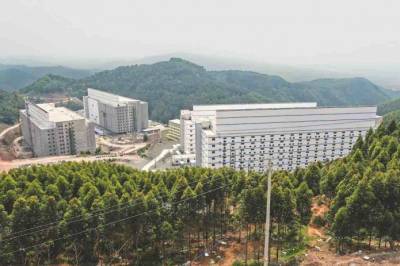 Китай селит свиней в 13-этажные «отели» для защиты от АЧС