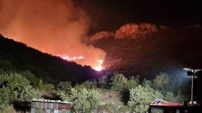 В Хорватии вторые сутки тушат лесные пожары