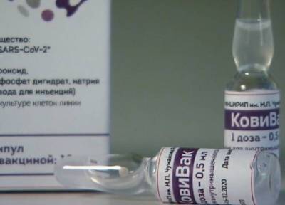 Названа подлежащая почти 100-процентной вакцинации категория россиян