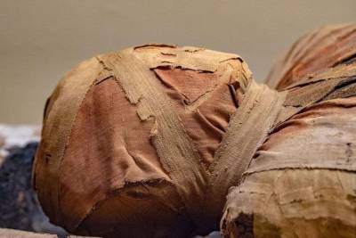 Под сараем в Ленобласти нашли завернутую в пленку мумию