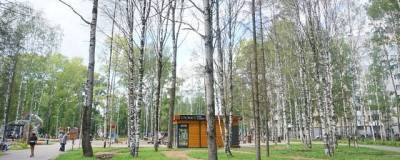 В двух парках Сыктывкара вырубят аварийные деревья
