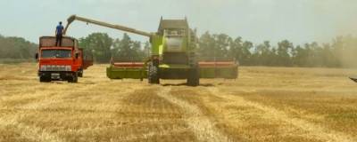 На Ставрополье аграрии собрали более 8,2 млн тонн зерна