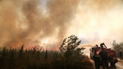 В АТОР назвали нормальной ситуацию с лесными пожарами в Турции