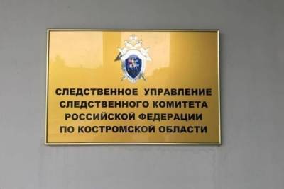 Следственный комитет отчитался о раскрытии «новогоднего убийства» в Костроме