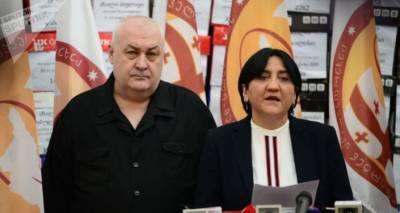 Грузинская партия обратилась за помощью к президенту России Путину