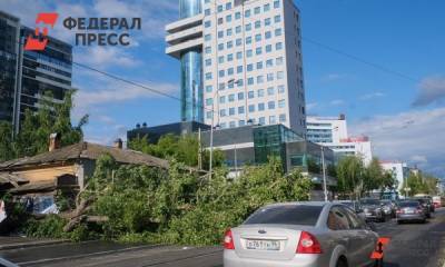 Нижний Новгород и Владимир предупредили о надвигающемся урагане