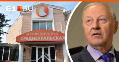 «Косилов специально взял ее, чтобы угробить»: Россель раскритиковал власти за закрытие Среднеуральской птицефабрики