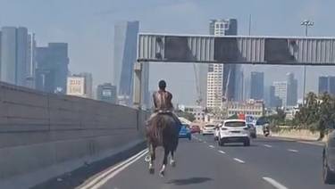 Видео: всадник на лошади промчался по автотрассе Аялон в Тель-Авиве