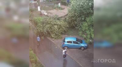 Последствия грозы в Чебоксарах и Новочебоксарске: от ветра улетел прицеп, упали деревья