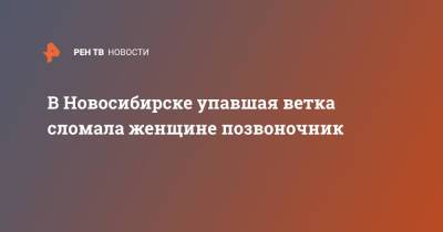 В Новосибирске упавшая ветка сломала женщине позвоночник