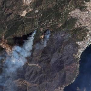 Сгоревшие леса Турции показали из космоса. Фото